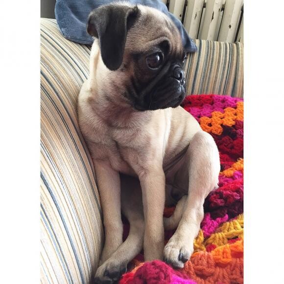 Is it dinner time yet?