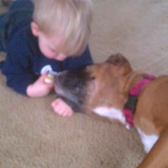 Sydney adores our grandson
