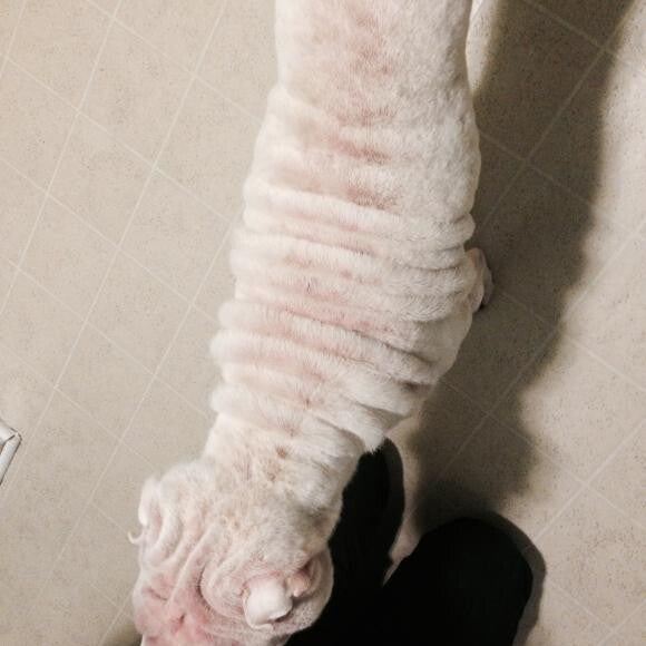 Before: Her back was very pink and covered in hives.