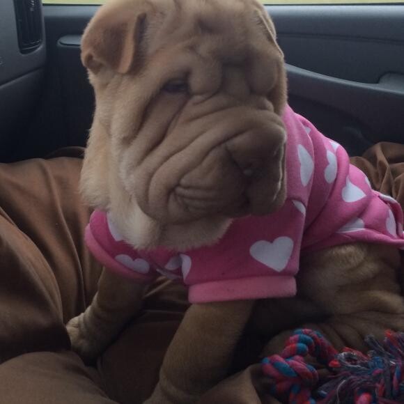 4 months Old and already a Diva