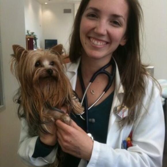 Cricket with her doctor at the Vet. Training Hosp.