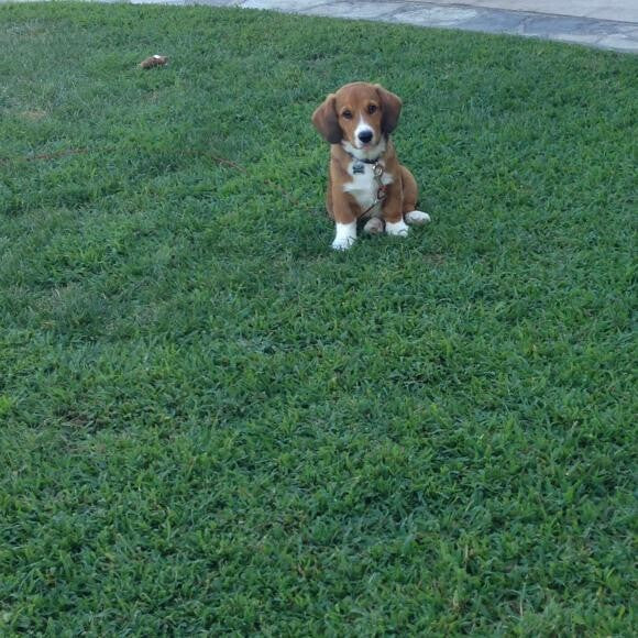 Such a sweetie pie