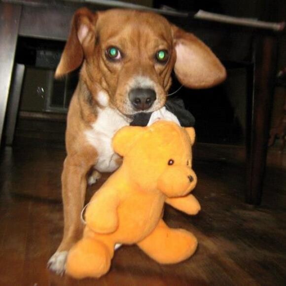 playing with his teddy bear
