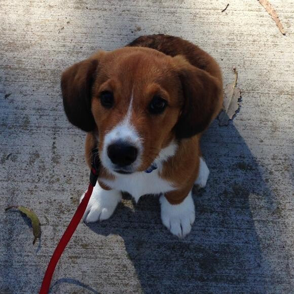 Im ready to go for a walk now!