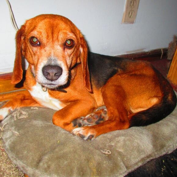 on his bed