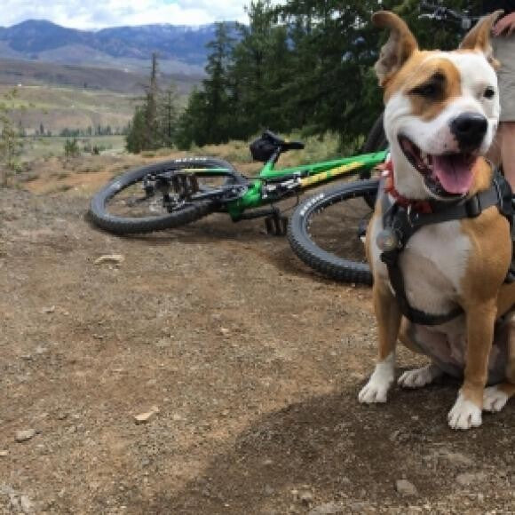 Mountain biking is fun!
