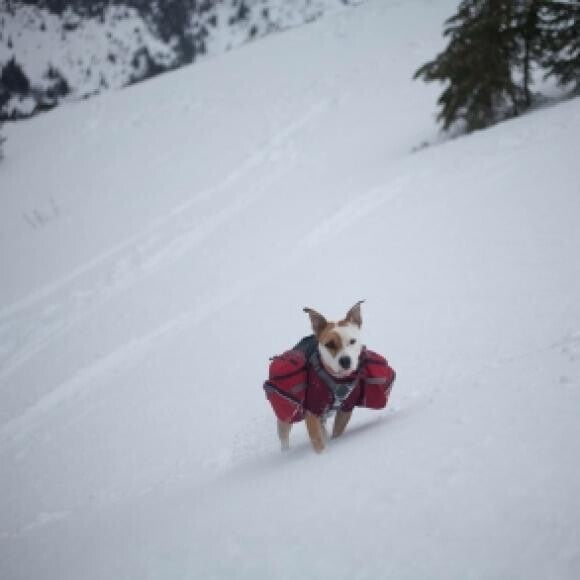 My favorite winter activity is backcountry skiing!