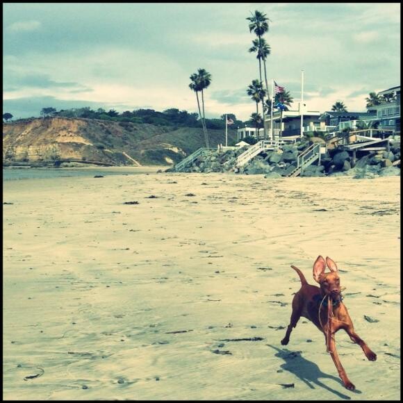Beach day in Del Mar!