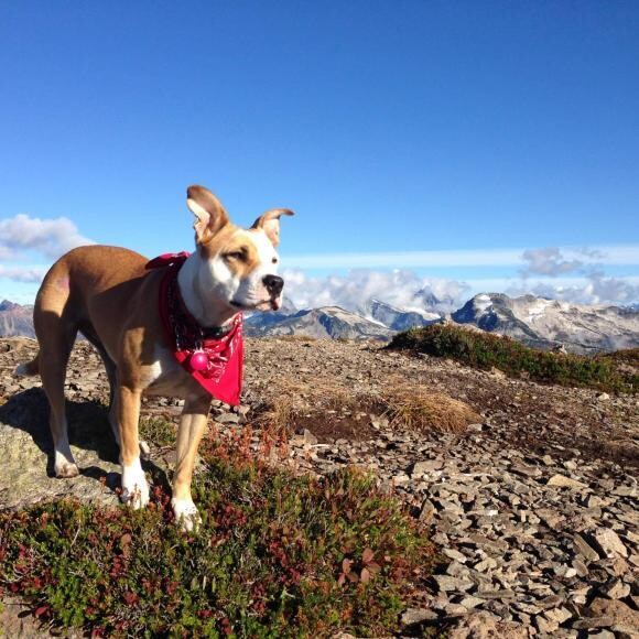Always up for adventure!