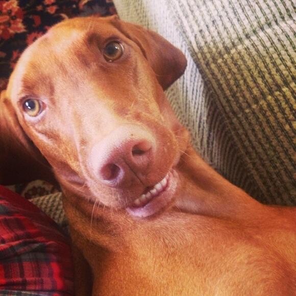 Smile Lincoln!