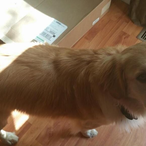 A Slimmer and healhier Tucker