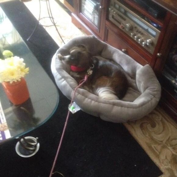 Resting after a tough bike ride