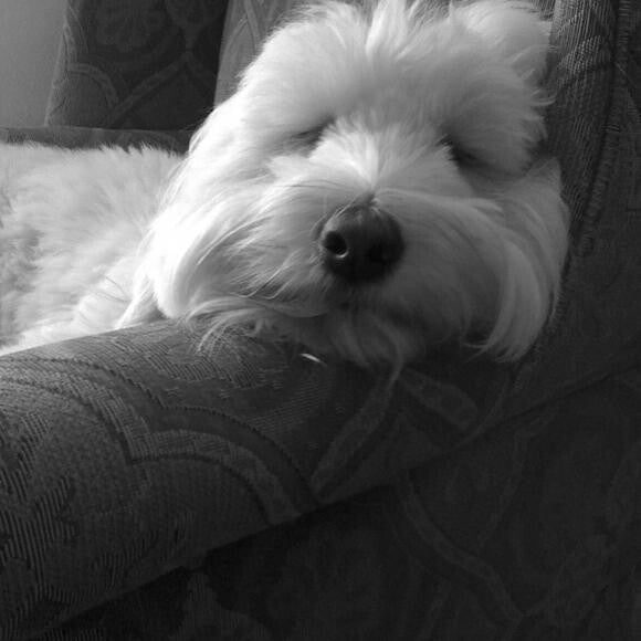 Just Chillin in his favorite chair!