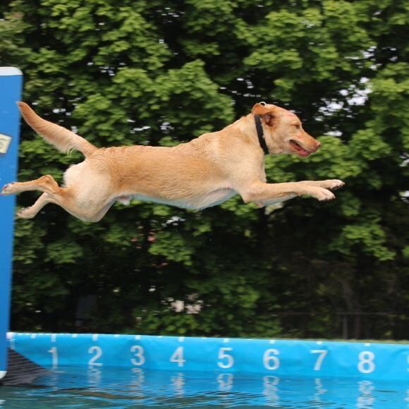 Big jump in Frankenmuth, Michigan