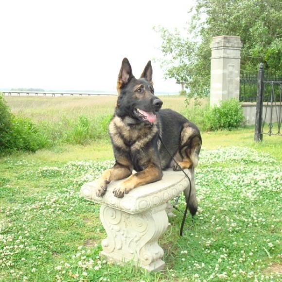 Dutch relaxing by the water