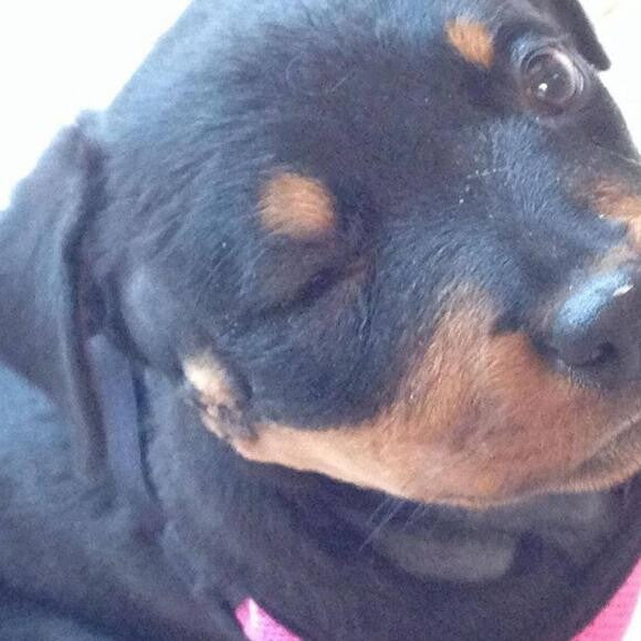 We were told to euthanize her; that she could not get enough nutrition to live.