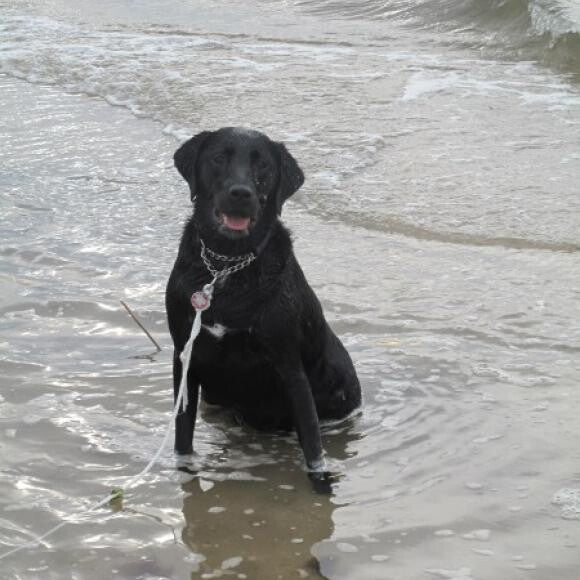 Maine at the beach