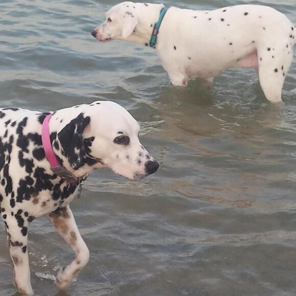 Molly and her sister Jenni.