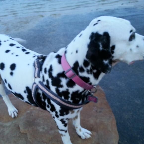 Perfect Form is Perfect for Molly