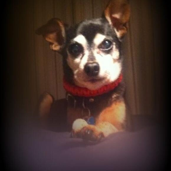 Sammie