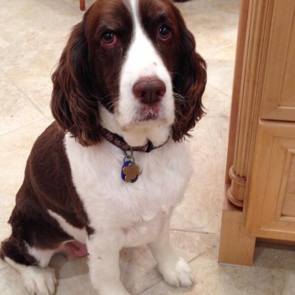 Treat please