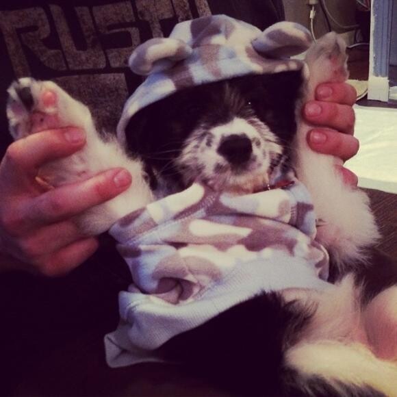 Finn modeling his favorite hoodie