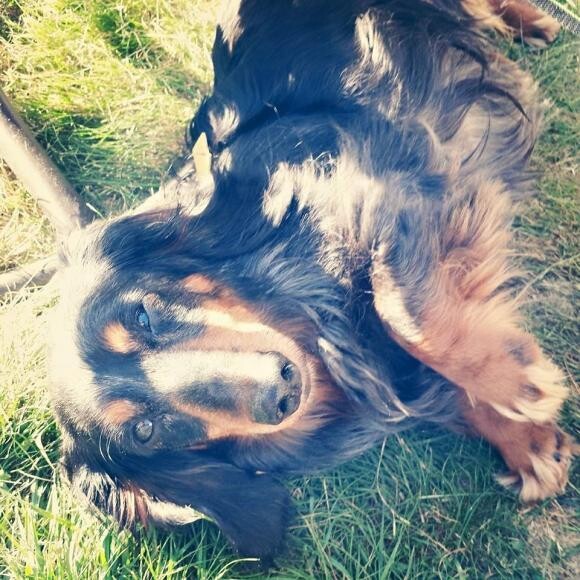 My handsome Cooper.