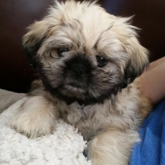 Baby Georgie