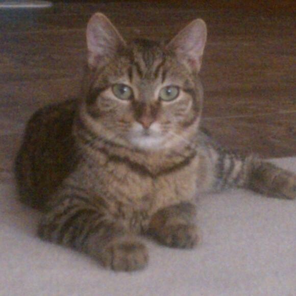 Meet Moakie!