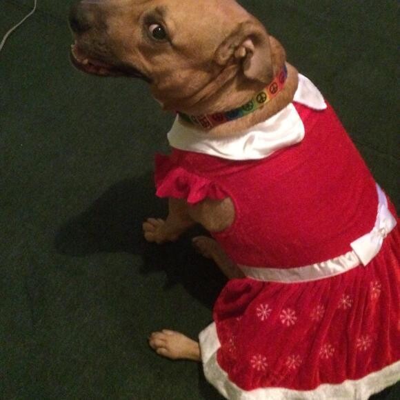 Christmas 2014