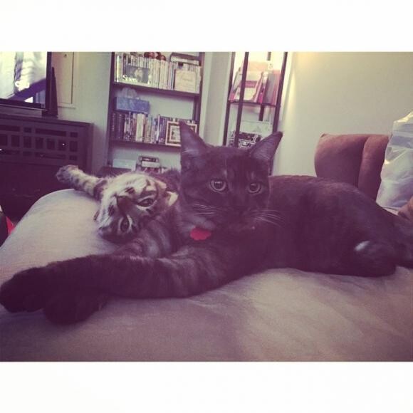 Jiji and her visiting friend Kiki