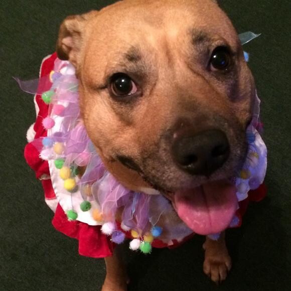 5th Birthday