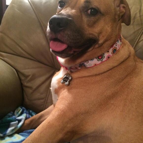 Cheesin!