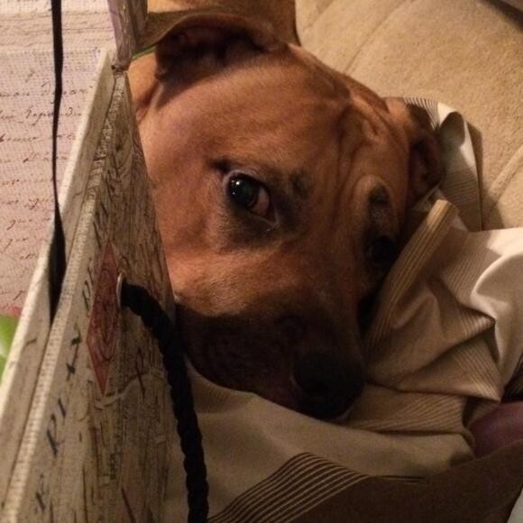 Whatcha doin?