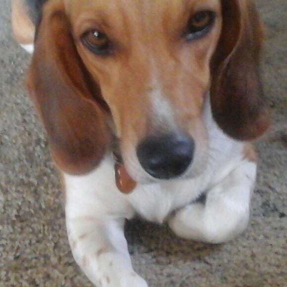 He's a loveable fellow