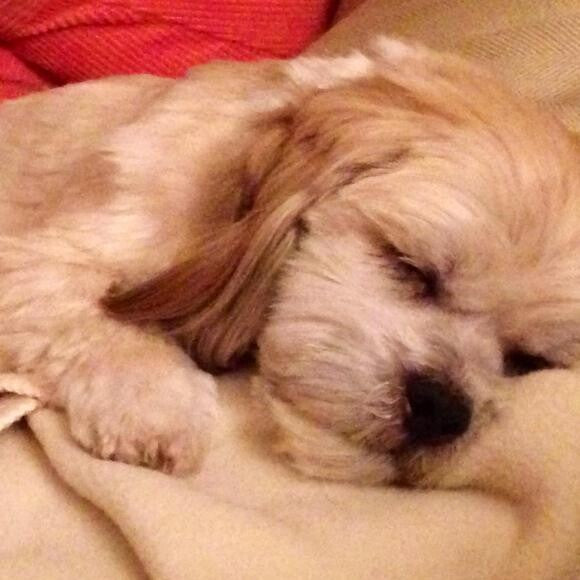 My Max.