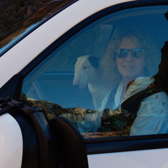Always in the front seat...