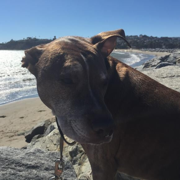 Rock climbing at the beach!