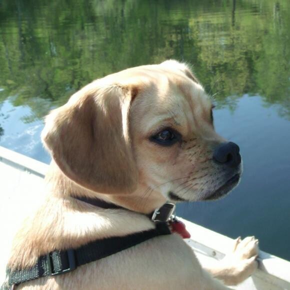 Gauge LOVES to fish!!