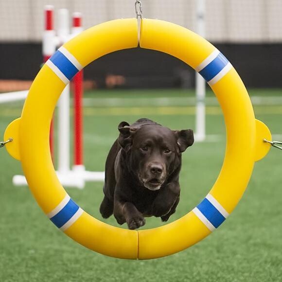 Agility time!