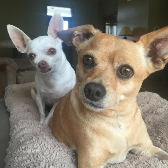 Brice & his sister Bella
