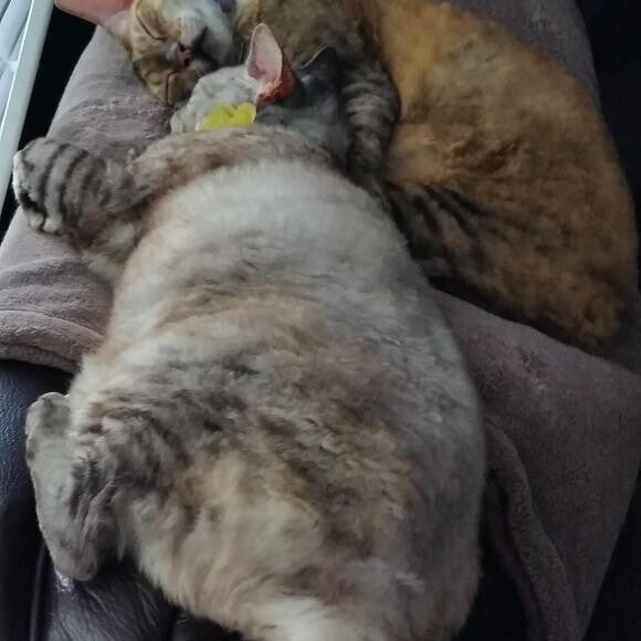 Sisters bonding after their meals