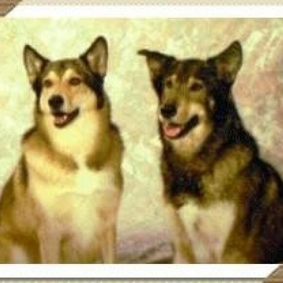 The original THK boys!