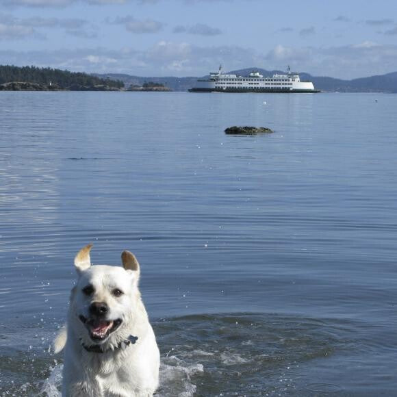 Southern Gulf Islands, BC