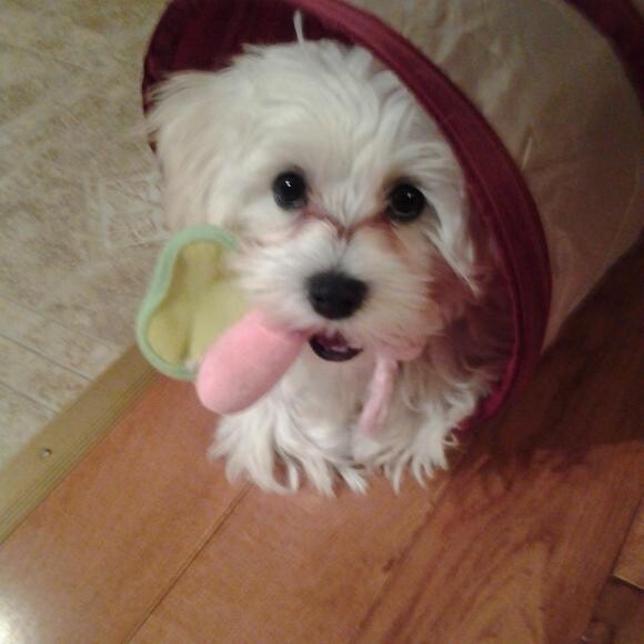 Let's play Mommy!