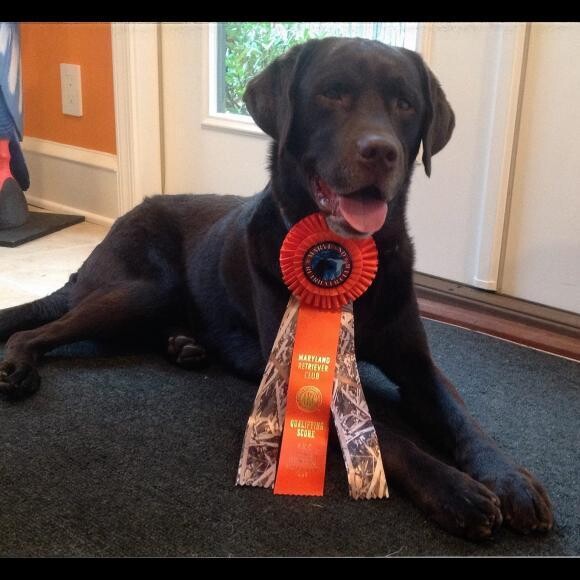 Clay earns his first (of now 3) Junior Hunter legs.