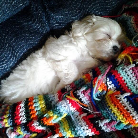Nighty night!
