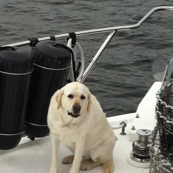 Summer boating - Charlie at 100 lbs