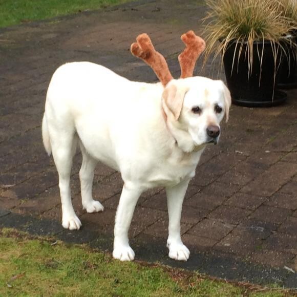 Christmas 2014