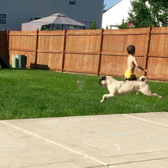 I can fly through the air like a bird when I run super fast!!!